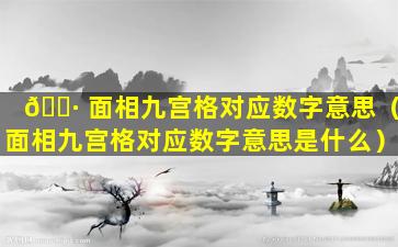 🌷 面相九宫格对应数字意思（面相九宫格对应数字意思是什么）